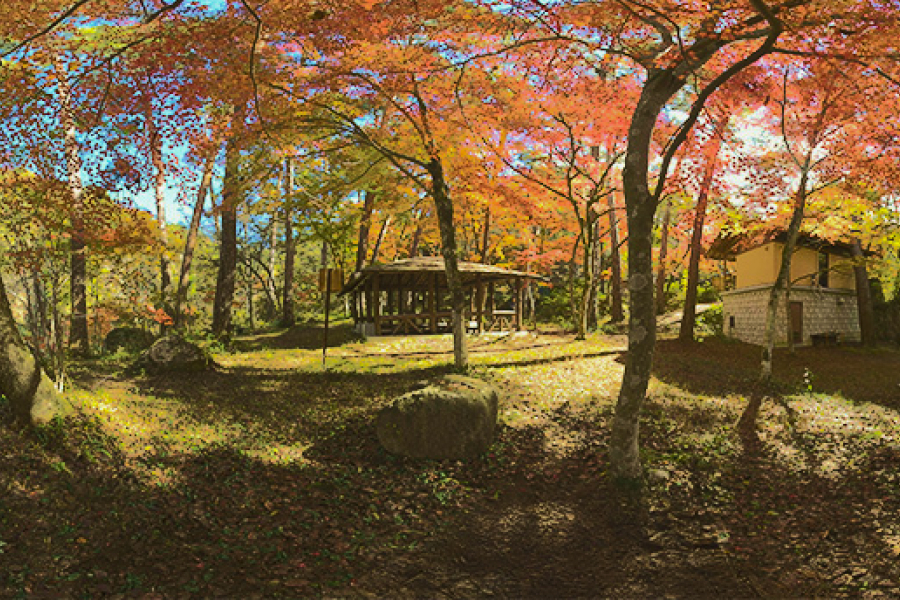 コンテンツイメージ紅葉