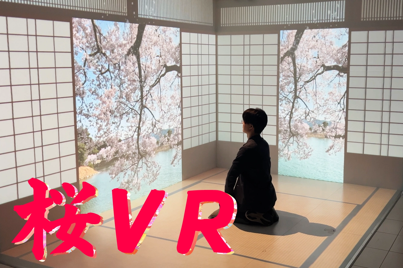 VR現場の春動画
